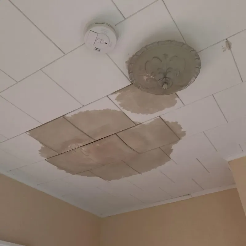 Ceiling Water Damage Repair in Miller County, GA