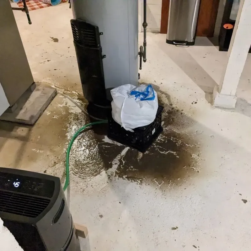Sewage Backup Cleanup Service in Miller County, GA